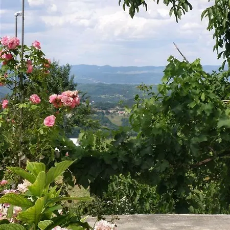 Vojskovic Διαμέρισμα Gračišće